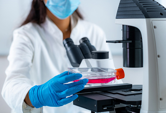 Cell culture - Creation of cell banks