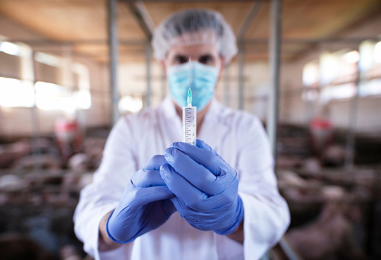Marinnovac UK has a track record in developing animal vaccines