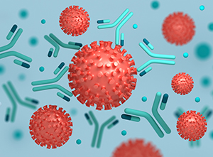 Monoclonal antibody production